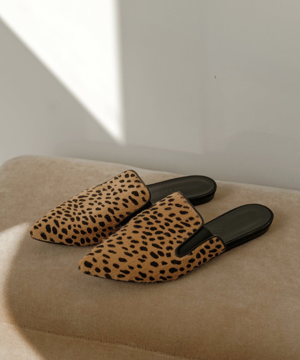 The Leopard Slides of My Dreams